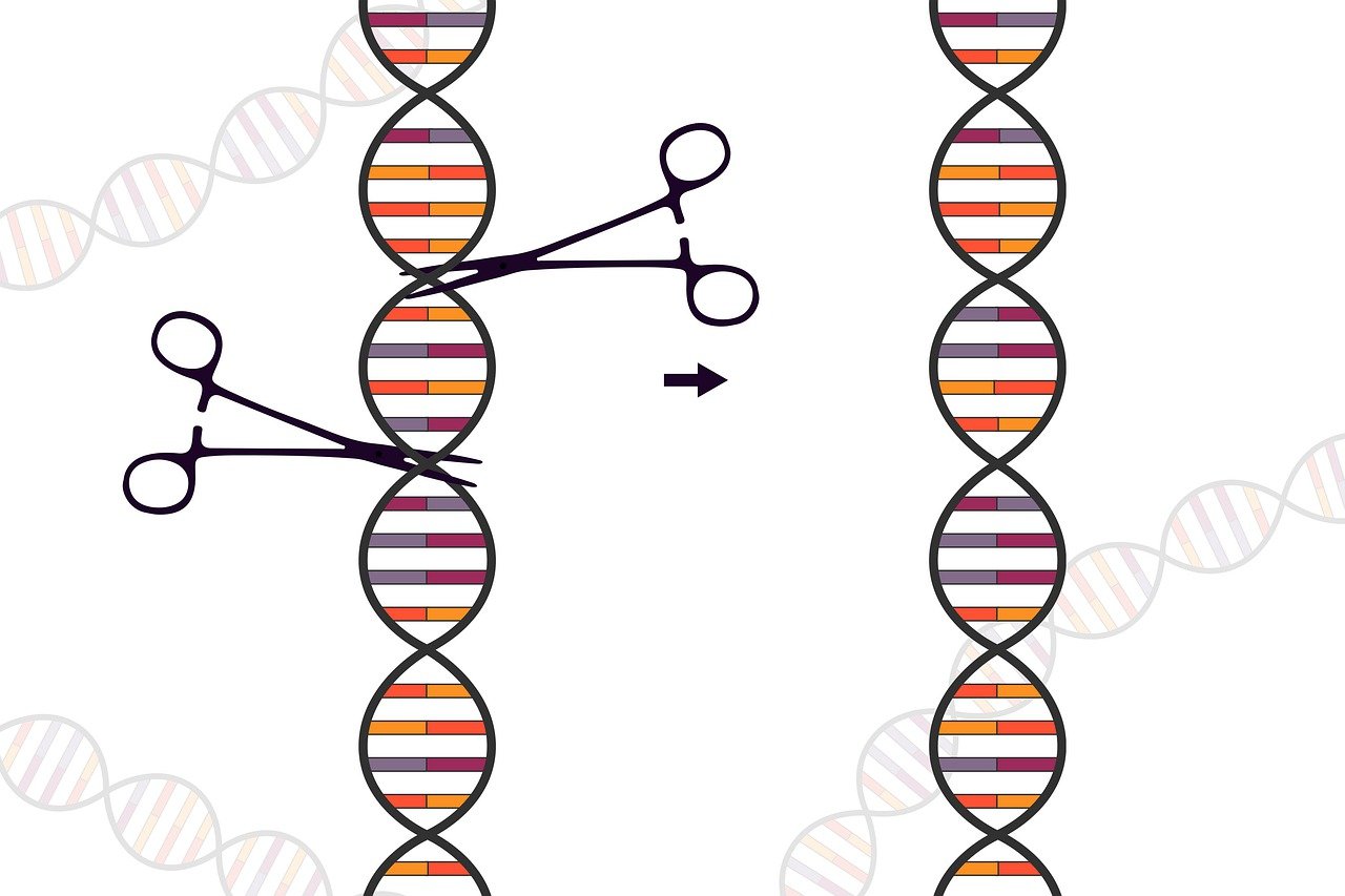 erfahren sie alles über crispr – die revolutionäre gen-editierungstechnologie. entdecken sie anwendungen, chancen und ethische herausforderungen rund um crispr in medizin und forschung.
