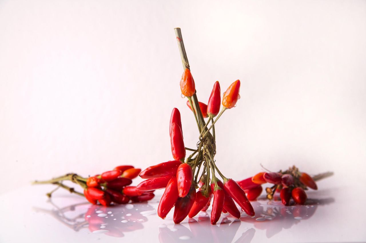 entdecken sie unsere vielfältigen gewürze und seasonings – perfekt zum verfeinern ihrer lieblingsgerichte! bringen sie mit unseren hochwertigen mischungen geschmack und aroma in jede mahlzeit.
